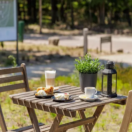 Detached With Wifi, Located At Park De Veluwe Holiday home